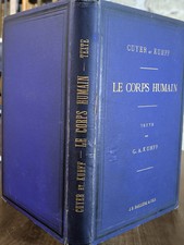 Der menschliche Körper