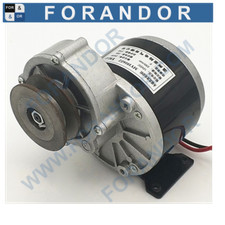 MY1016Z-PB 250|350W 24V|36V DC-Motor Stirnrad-Getriebe Riemenwalze