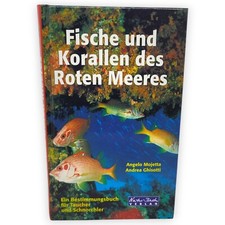 Fische und Korallen des Roten Meeres Ein Bestimmungsbuch Mojetta Ghisotti Buch