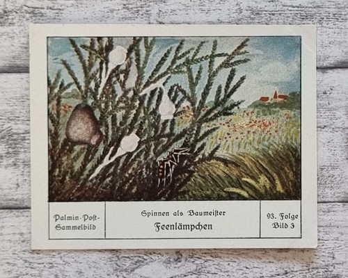 Feenlämpchen baumeister natur - feenlämpchen,