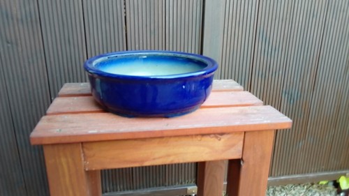 Bonsaischale rund 5 x 10 - bonsaischale, rund...29,5