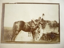 FOTO 1890 PFERD HEURWAGEN
