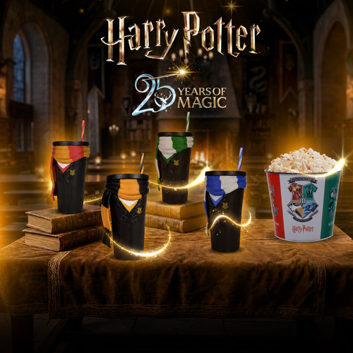 Harry potter jahre - 25, magie