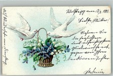 38130424 - Weisse Tauben mit