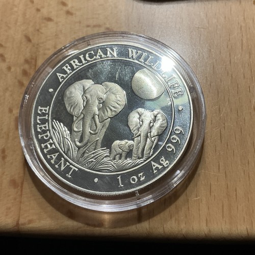 Somalia african wildlife - african, 2014