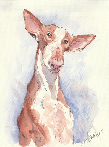 Original aquarell - original,