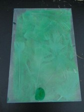 1 Großpack Deko Federn Farbe