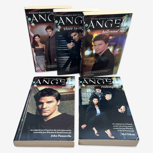 Angel book paperback set - angel,