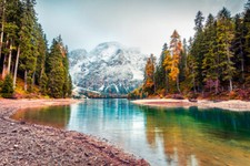 Wandbild: Erster Schnee am