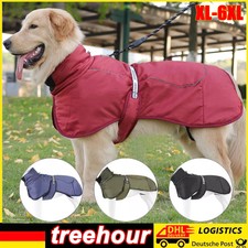 Großer Hund Outdoor Warme