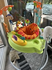 Fisher Price Activity Center