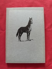 Der Schwarze Hengst Bento |