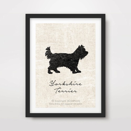 Yorkshire terrier hund - yorkshire,