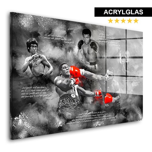 Acrylglasbild kampfsport - acrylglasbild,