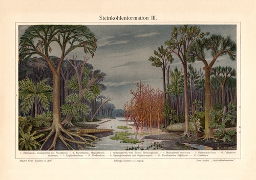 Steinkohlenformation iii - steinkohlenformation,
