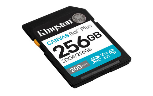 Kingston canvas plus gen4 - go!,