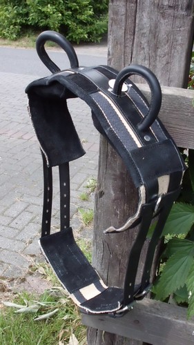 Voltigiergurt reithilfe mit - /reithilfe,