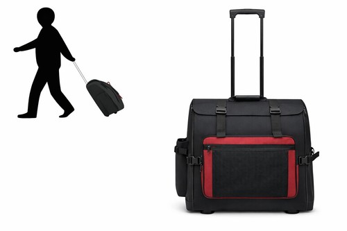 Steirische harmonika trolley - harmonika,