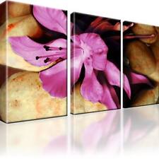 Lilie Blume Steine Bild 3 Teilig Bilder Wandbild Kunstdruck Dekoration
