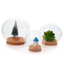 Glasglocke mit Holzboden Glashaube Glassturz Uhrenschutz Käseglocke Haube