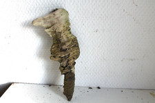 Schwemmholz Treibholz