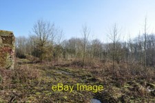 Photo 6x4 Growing Trees on the Old Admin Site Part of the United States o c2010