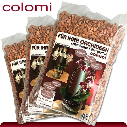 Colomi l patentiertes - 3,