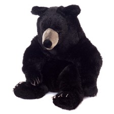 Schwarzbär von kosen - von,