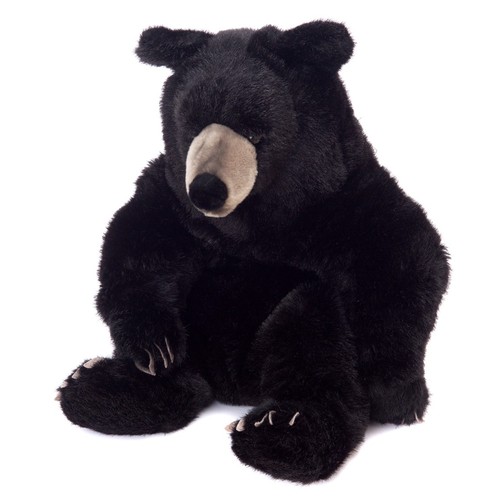 Schwarzbär von kosen - von,