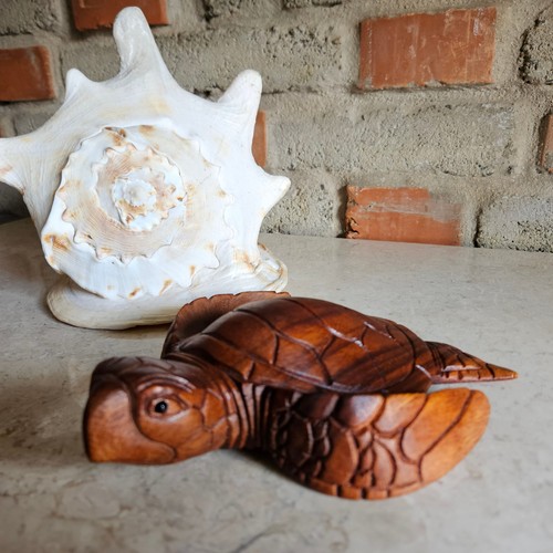 Schildkröte aus holz - schildkröte,