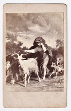 Van Muyden - goats sheep