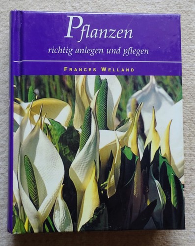 Pflanzen richtig anlegen und
