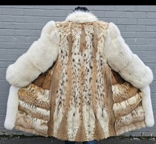 Luchs Lince Lynx Bobcat