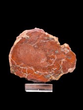 Versteinertes Holz mit Achat