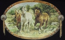 T-Shirt INDIANER Cowboy Pferd