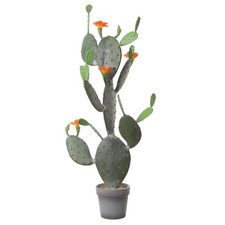 artplants Kunst Feigenkaktus