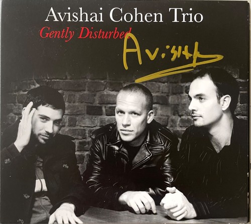 Avishai cohen gently - avishai, cohen: