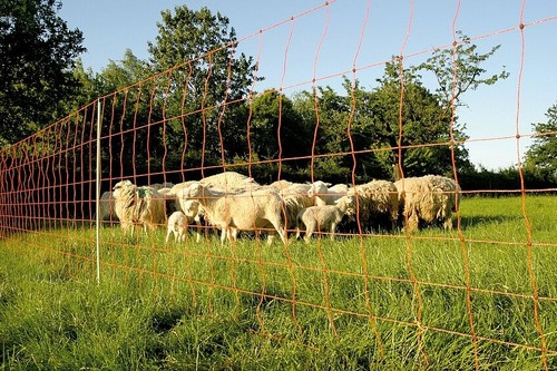 Wolfsnetz jumbo 106cm 50m - 106cm,