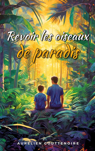 Aurélien gouttenoire revoir - aurélien, |