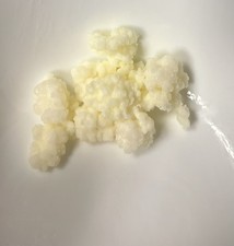 Echter Milchkefir 8 g. 5.9€