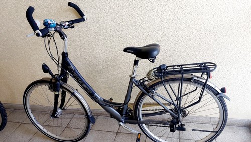 Trekkingrad dynamics - ", dynamics"