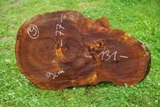 Baumscheibe XXL Holzscheibe