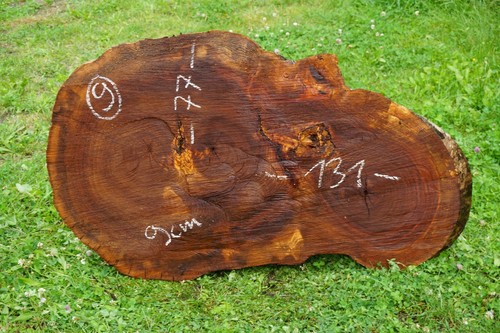 Baumscheibe xxl holzscheibe - baumscheibe,
