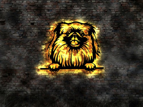 Pekinese led wandbild holz - pekinese,