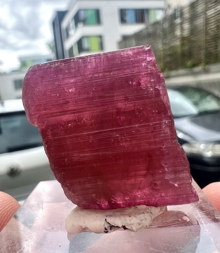 Turmalin rot kristall - turmalin, aus