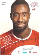 AK Johannes Djourou Schweiz  SFV Arsenal London  Hannover 96  Hamburger SV