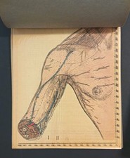 ANATOMIE ARM UND SCHULTER