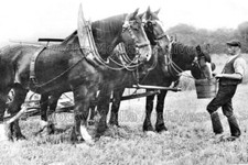 Zzc-3 Landwirtschaftsszene