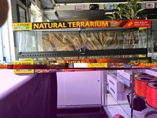 Exo Terra PT2611 Large Glass