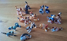 Rosina Wachtmeister Katzen